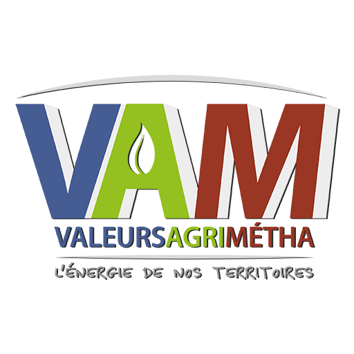 Logo Shadow